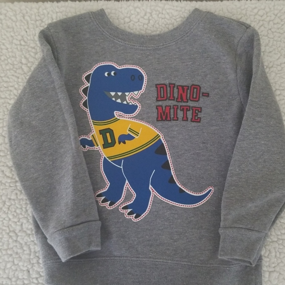 2 Garanimals Crew neck sweaters